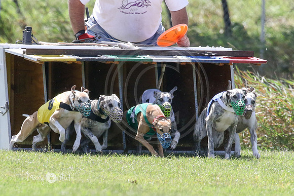 MCH74298