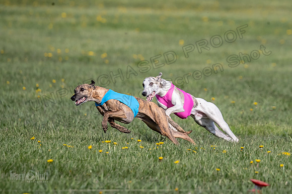 1Prelims Open E1 Boujee Riptide Zaza-0714