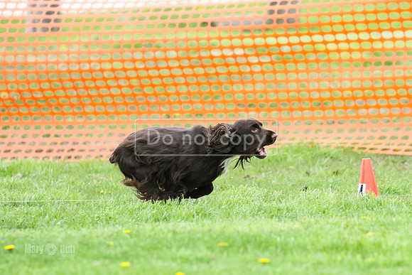 MCH78636