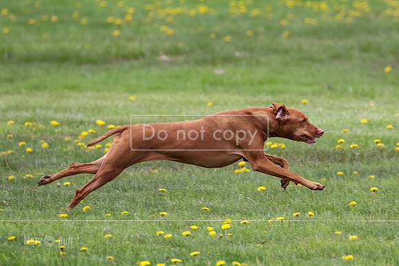 MCH79928
