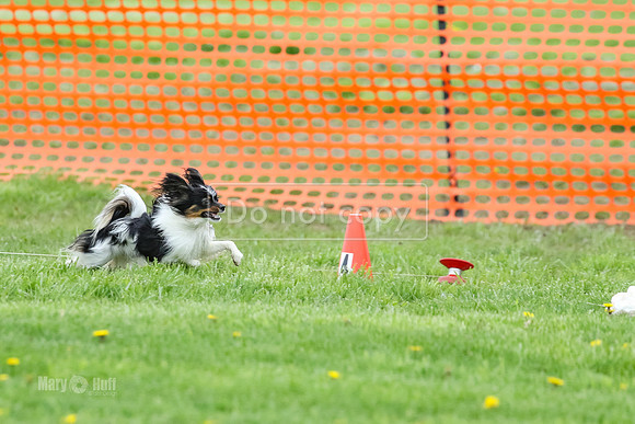 MCH78311