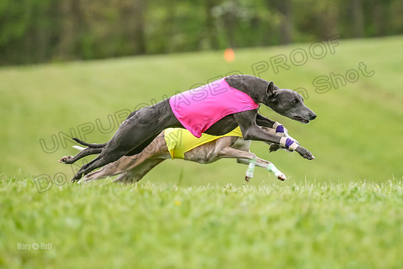 Prelim Open E4, Sassy Sneakers-5033