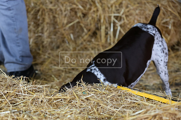 MCH50066