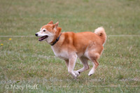 IMG_1074