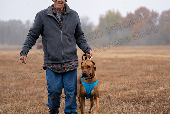 RhodesianRidgeback-24