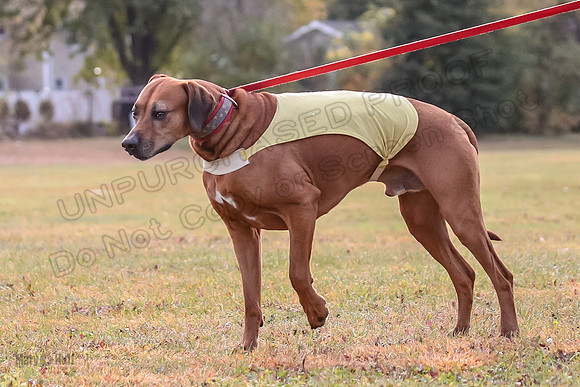 1 Prelims Fch 1 Ace Dakota Remmy-0298-2