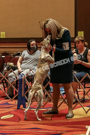 Candids-59744