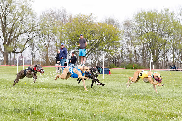 WRA, Prg 4, Race 4, Victor Picanha Stormy Terra Smudge-9335