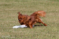 IMG_1588