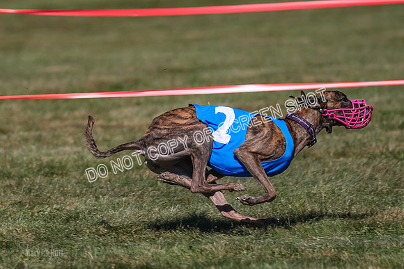 Prg 4, Race 5, Steve Tata Micky Barley-2599