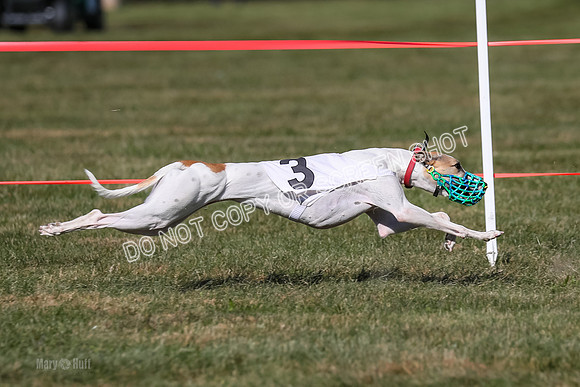 Prg 4, Race 12, Snacks Coty Ryka Stone-2752
