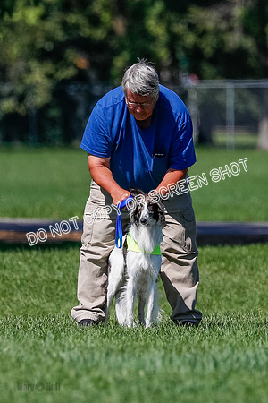 Silken Windhound Finals, Finnegan-3948