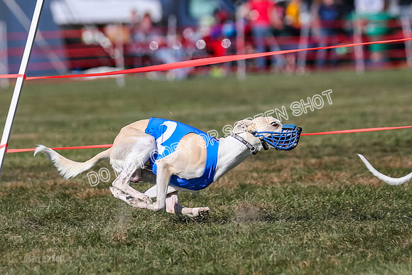 Prg 4, Race 12, Snacks Coty Ryka Stone-2741-2
