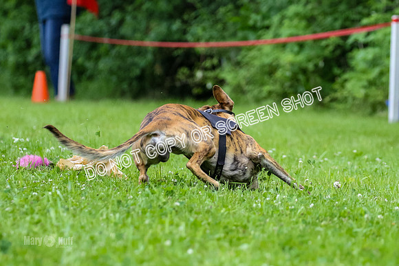 MCH71912