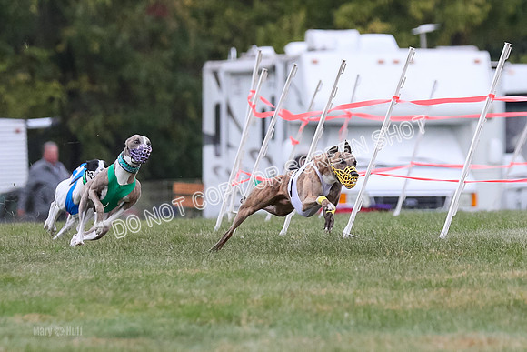 Prg 1, Race 18, Bibi Banshee Thunder Moonstruck-1019-2