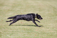 IMG_0021