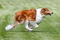 Cat Test 1-0136