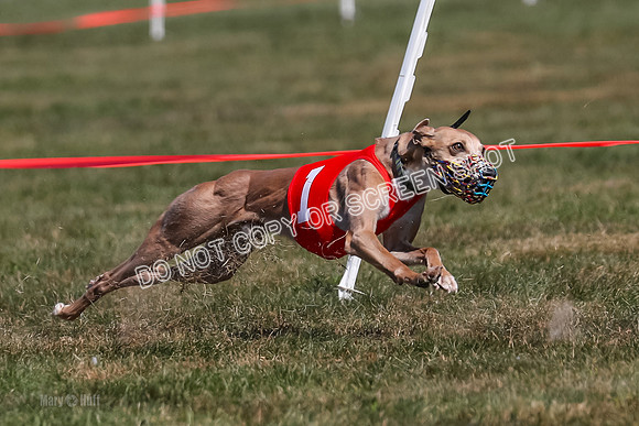 Prg 3, Race 6, Micky Sansa Power Arrow-2067