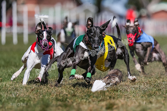 Prg 4, Race 3, Dazzle Margot Cherry Pie Clyps Tahoe-0139