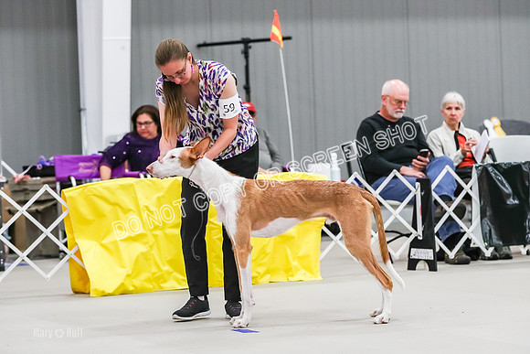 AE4I6072