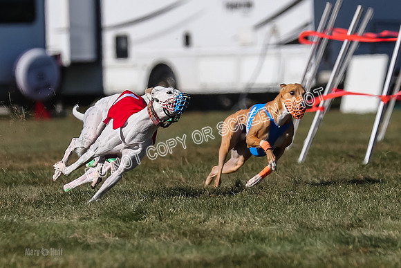 Prg 4, Race 13, oats Bookie Reas Rizzo-2757