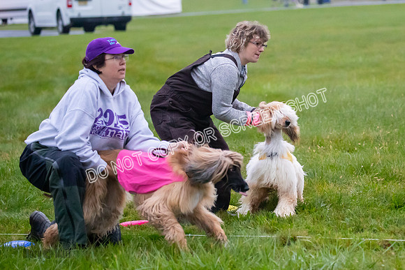 Prelim, Open 1, Lily-Isha-6270