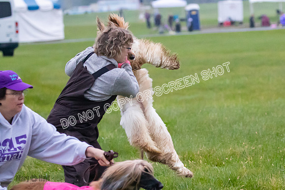Prelim, Open 1, Lily-Isha-6276