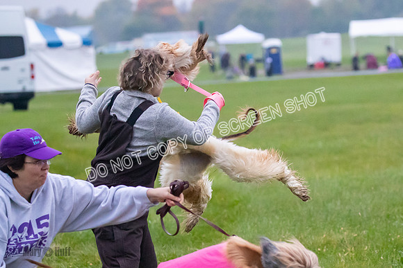 Prelim, Open 1, Lily-Isha-6277