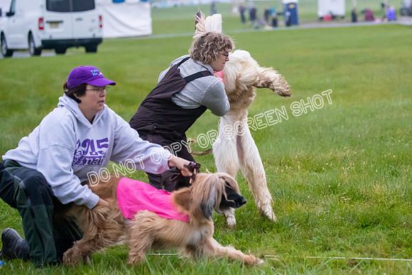 Prelim, Open 1, Lily-Isha-6275