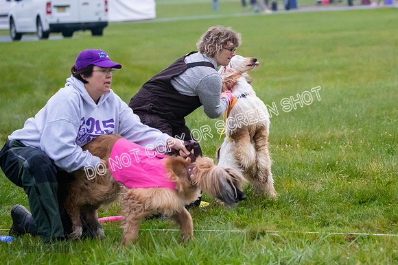 Prelim, Open 1, Lily-Isha-6273