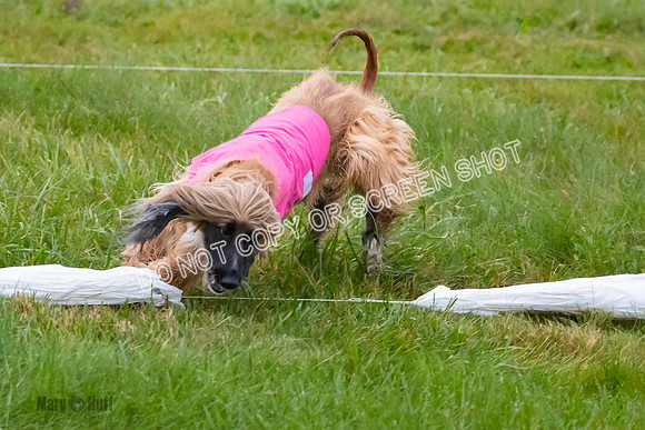 Prelim, Open 1, Lily-Isha-6306