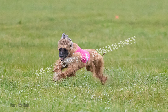 Prelim, Open 1, Lily-Isha-6291