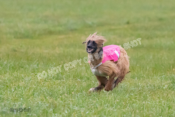 Prelim, Open 1, Lily-Isha-6294