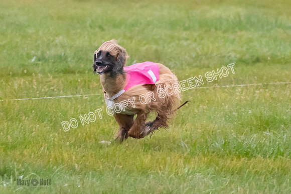Prelim, Open 1, Lily-Isha-6298
