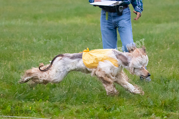 Prelim, Open 1, Lily-Isha-6285