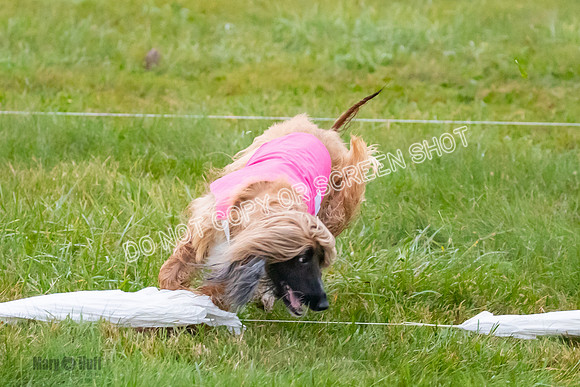 Prelim, Open 1, Lily-Isha-6307