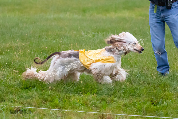 Prelim, Open 1, Lily-Isha-6284