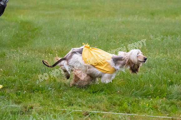 Prelim, Open 1, Lily-Isha-6282