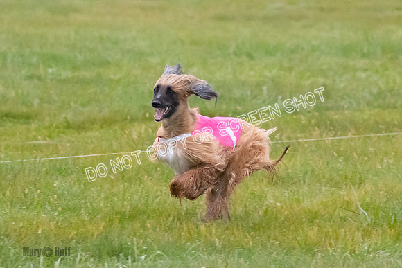 Prelim, Open 1, Lily-Isha-6299