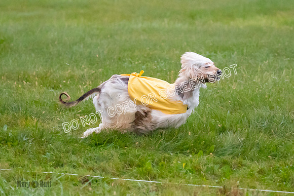 Prelim, Open 1, Lily-Isha-6283