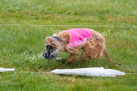 Prelim, Open 1, Lily-Isha-6303