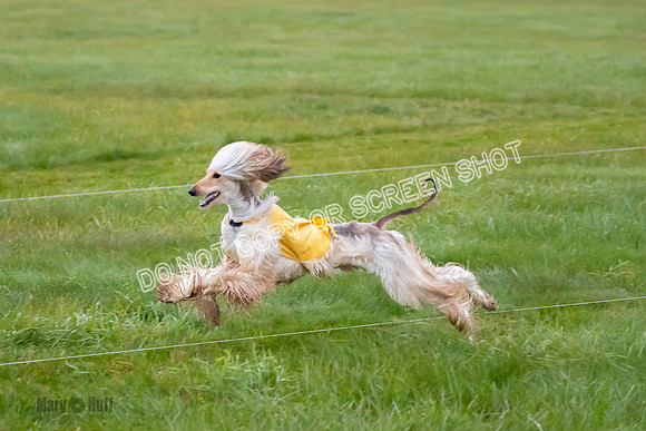 Prelim, Open 1, Lily-Isha-6312