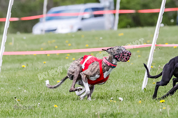 NOTRA Program 2, Race 1, Warrior Barley Flair Press-2-10