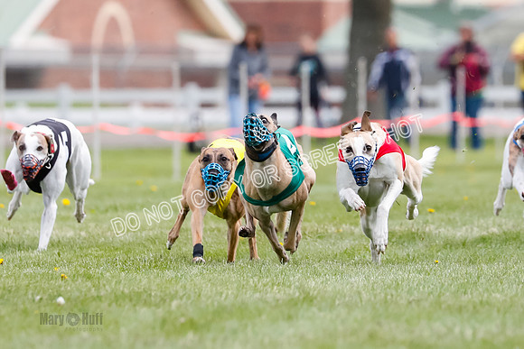 WRA, Prg 1, Race 14, Chase Buttercup Joplin Cinder Navi-8505