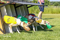 MCH72523, P1 Grace, Jerry Katie Zippy
