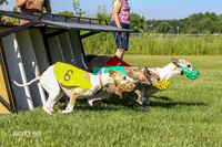 MCH72524, P1 Grace, Jerry Katie Zippy