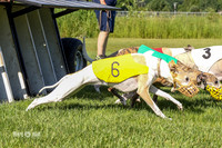 MCH72525, P1 Grace, Jerry Katie Zippy