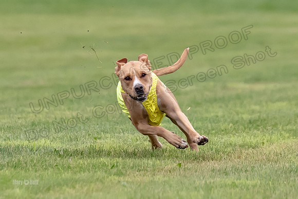 Prelims Zara-0803
