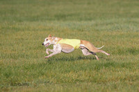 Sunday Oct, 31 BOB Runs