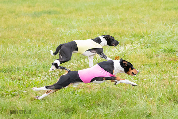 Prelim, Special 1, Axion-Dreamer-7700